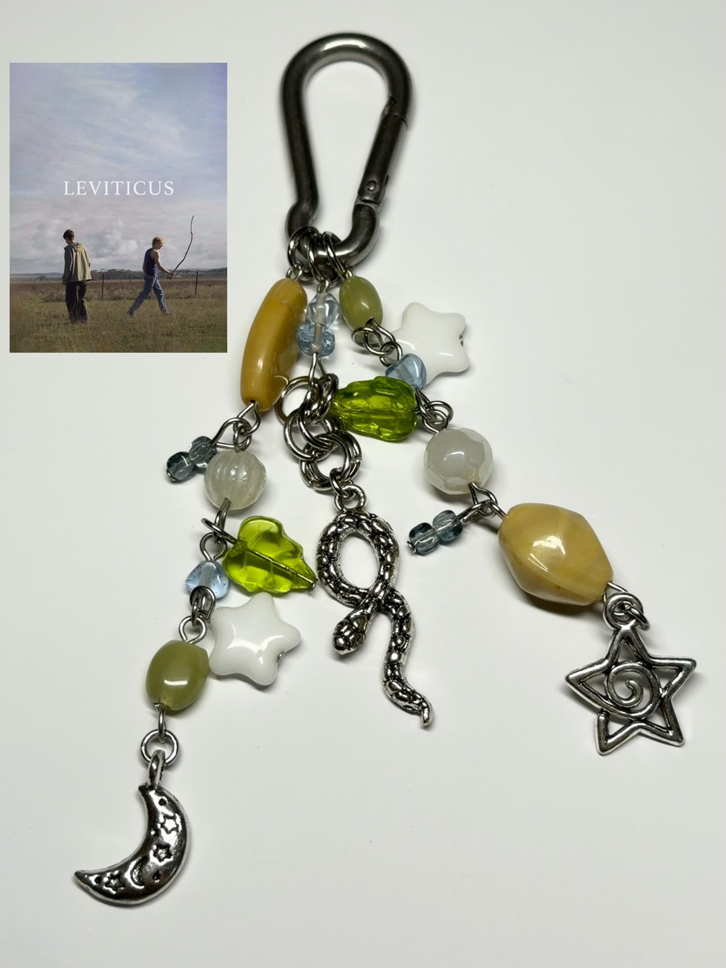 leviticus (field) - carabiner